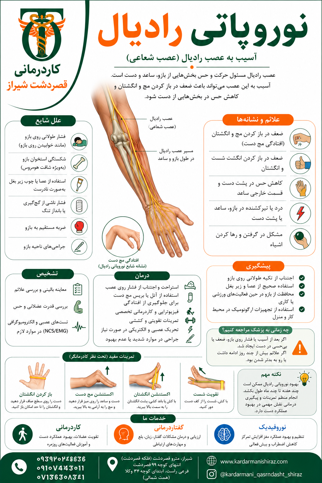 نوروپاتی رادیال (گرفتگی عصب رادیال)؛ علائم، تشخیص و نقش کاردرمانی در درمان افتادگی مچ دست
