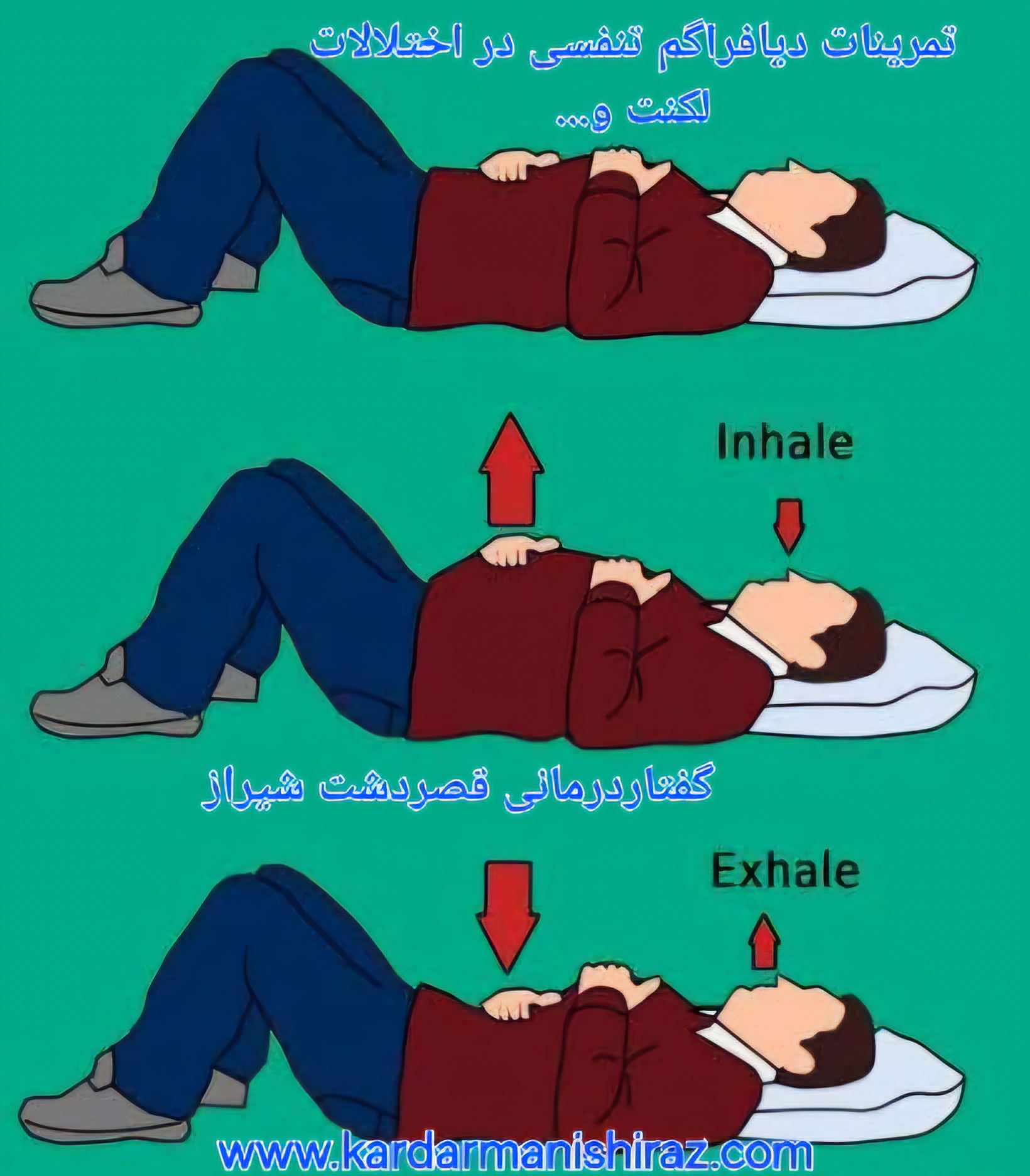 تمرینات تنفسی دیافراگمی_متخصص گفتاردرمانی شیراز
