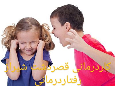 راهکارهای درمانی پرخاشگری درکودکان /بهترین متخصص رفتاردرمانی و کاردرمانی در شیراز