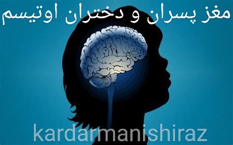 تفاوت مغز کودکان پسر و دختر اوتیسم شیراز_گفتاردرمانگر اتیسم شیراز