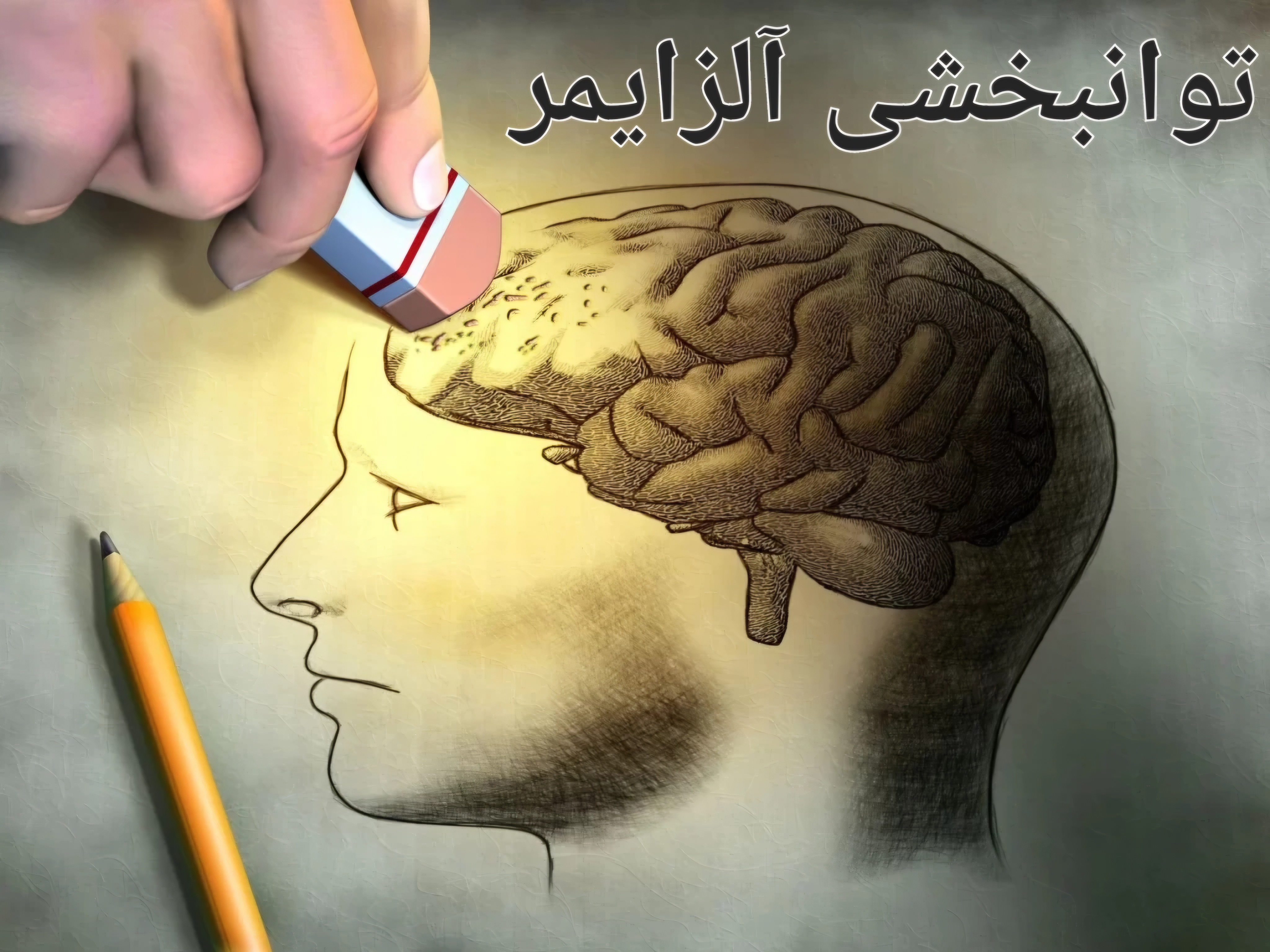 مرکز درمان فراموشی و آلزایمر شیراز _توانبخشی شناختی